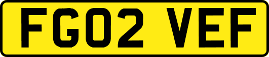 FG02VEF