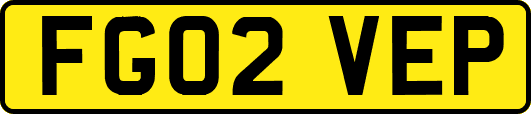 FG02VEP