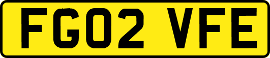 FG02VFE