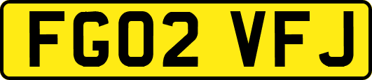 FG02VFJ