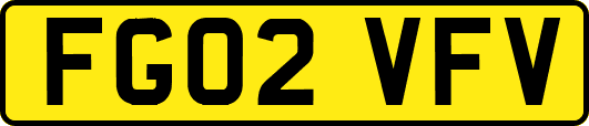 FG02VFV