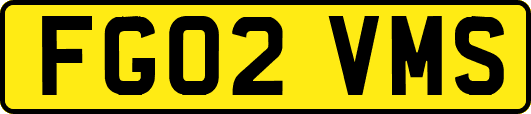FG02VMS