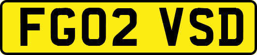 FG02VSD