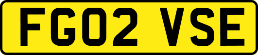 FG02VSE