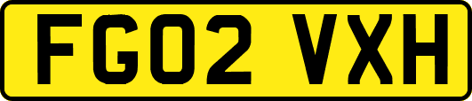 FG02VXH