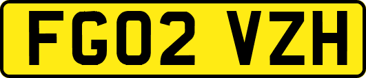 FG02VZH