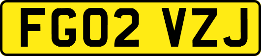 FG02VZJ