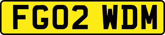 FG02WDM