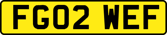 FG02WEF