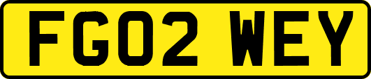 FG02WEY