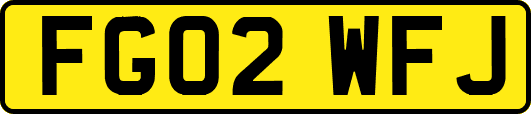 FG02WFJ