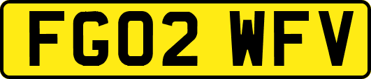 FG02WFV