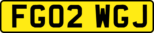 FG02WGJ