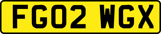 FG02WGX