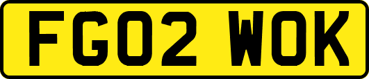 FG02WOK