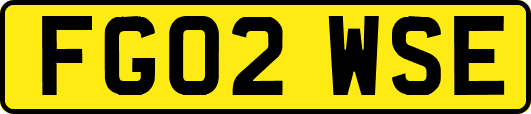 FG02WSE