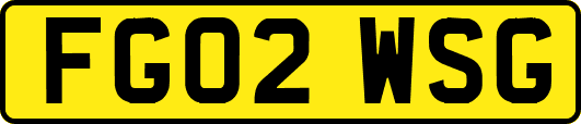 FG02WSG