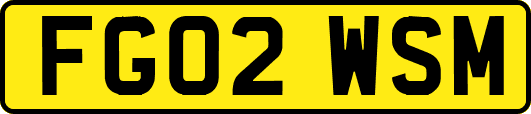 FG02WSM