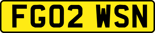 FG02WSN
