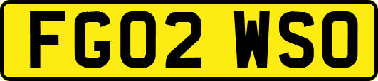 FG02WSO