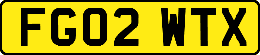 FG02WTX