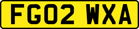 FG02WXA