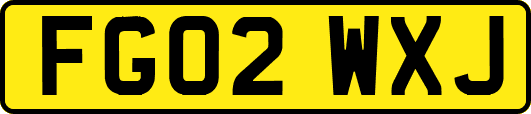 FG02WXJ