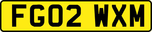 FG02WXM
