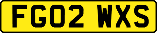 FG02WXS