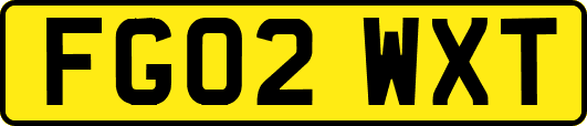 FG02WXT