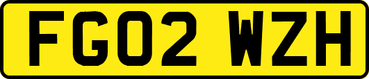 FG02WZH