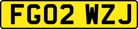 FG02WZJ