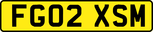 FG02XSM