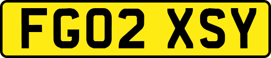 FG02XSY