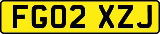 FG02XZJ