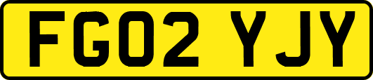 FG02YJY