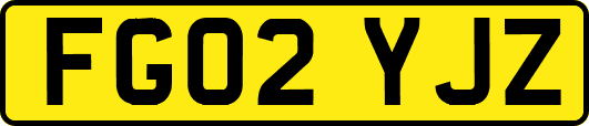 FG02YJZ