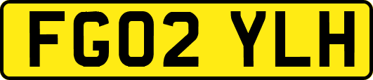 FG02YLH