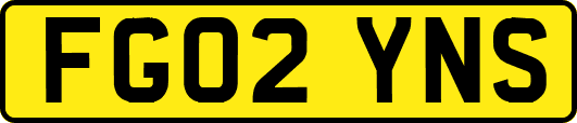 FG02YNS