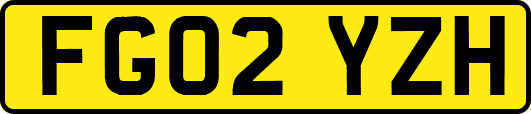 FG02YZH