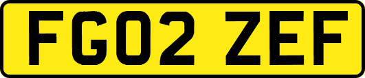FG02ZEF