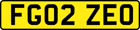 FG02ZEO