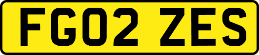 FG02ZES