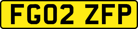 FG02ZFP