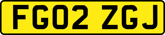 FG02ZGJ