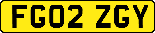 FG02ZGY