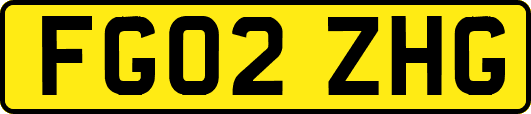 FG02ZHG