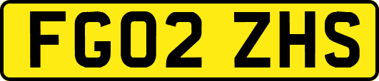 FG02ZHS