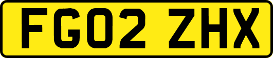 FG02ZHX
