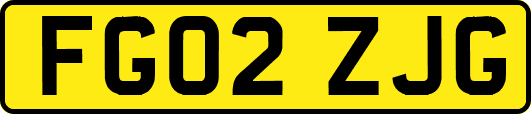 FG02ZJG